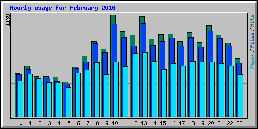Hourly usage for February 2016