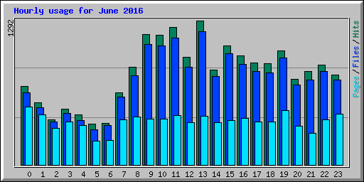 Hourly usage for June 2016