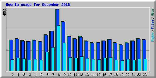 Hourly usage for December 2016