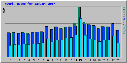 Hourly usage for January 2017