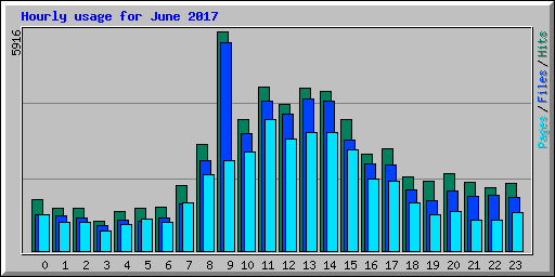 Hourly usage for June 2017